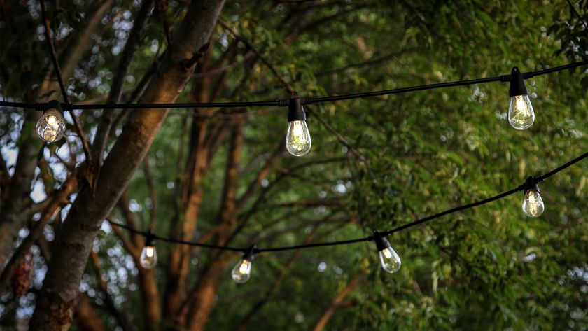 Brightech Ambience Pro LED Outdoor String Lights