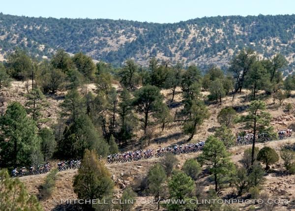 The pack climbs toward the continental divide.