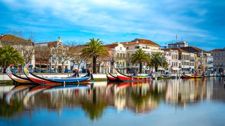 Colourful boats lining the canals of Aveiro, Portugal