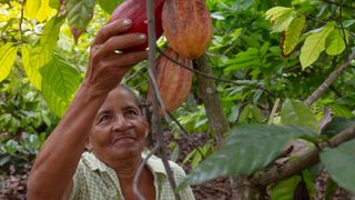 Palo Blanco, Piura, Peru