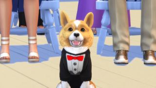 A sharply dressed corgi from The Sims 4.