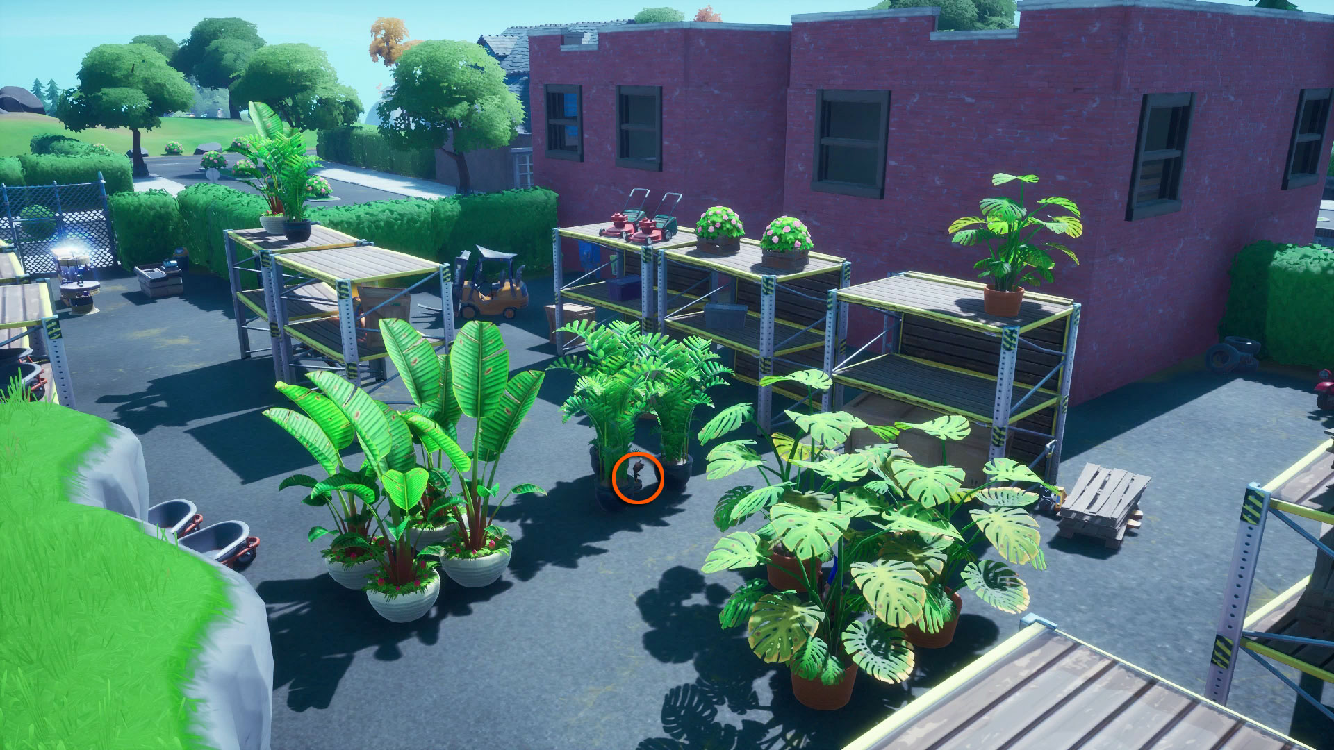 Emplacement De Fortnite Sapling Groot Comment Sauver Sapling Groot De