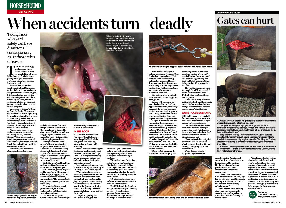 VET-2pp-Avoidable-yard-accidents.jpg