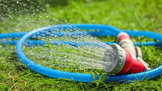 A hose spraying water on the lawn