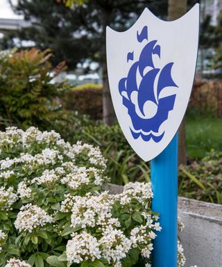 blue peter badge in open space with shrub