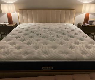 The Bear Elite Hybrid Mattress on a bed frame between two nightstands.