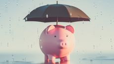 A piggy bank sits in the rain under an umbrella.