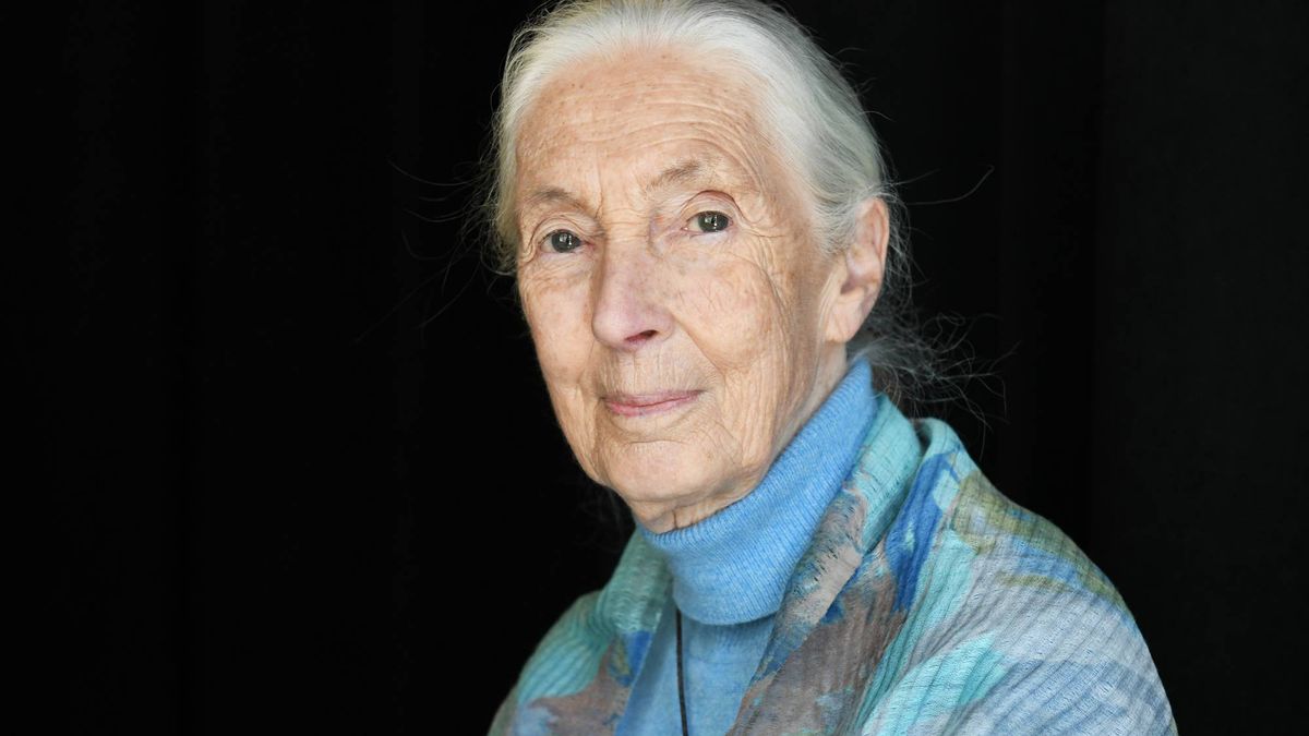 Are We Destroying Our Own Habitat? Jane Goodall’s Forgotten Warning about Why Humans Need Green Spaces