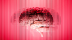 Post image 28