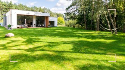 one storey white modern house with large grass lawn to support an article on when to plant grass seed in spring