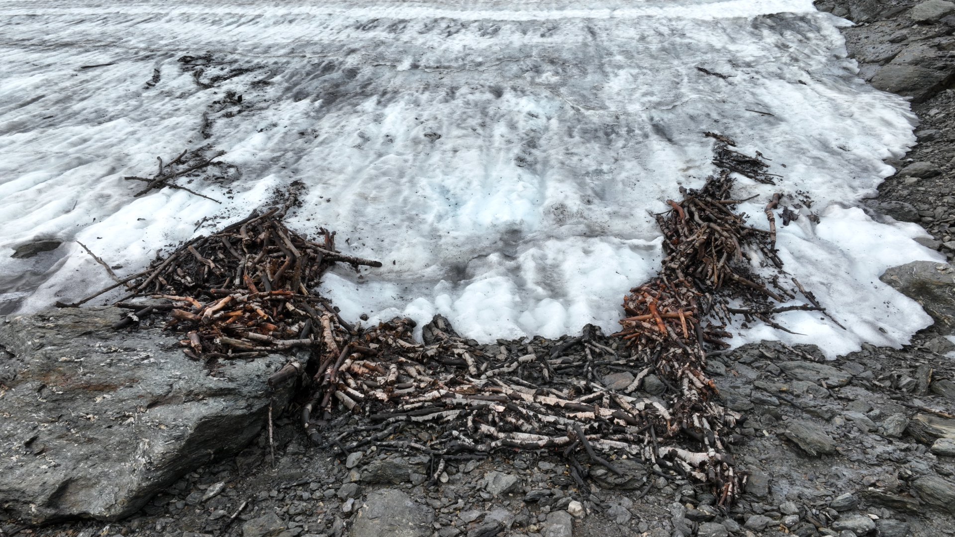 a series of sticks in a U-shape are melting out of a glacier