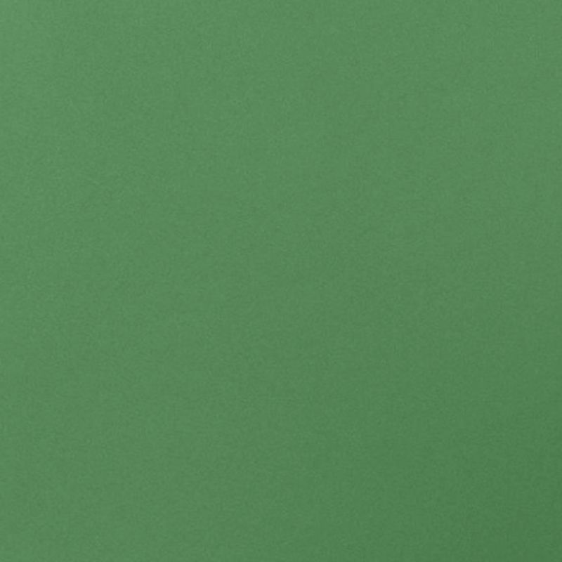 dark green paint swatch