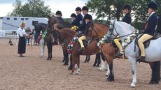 British Show Pony Championships 2020