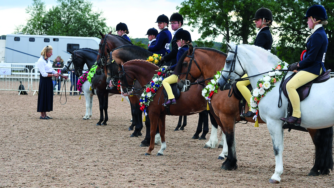 British Show Pony Championships 2020