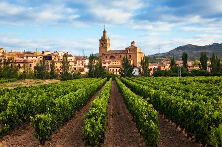 Brinas in Rioja, shown alongside andrew jefford decanter column