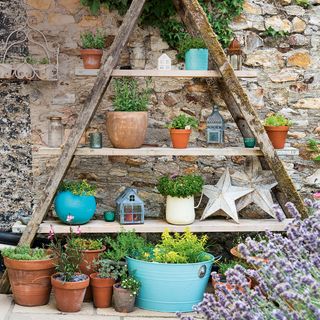 Grey garden wall with vintage step ladder in front dressed with plants and accessories