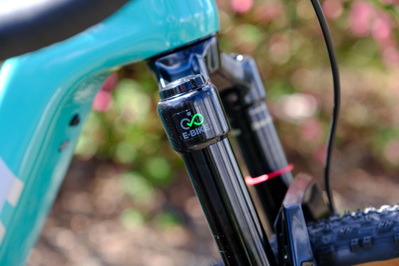 Salsa Cycles' Wanderosa