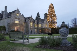 wakehurst christmas tree with house