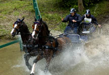 Windsordrivingtrials.jpg