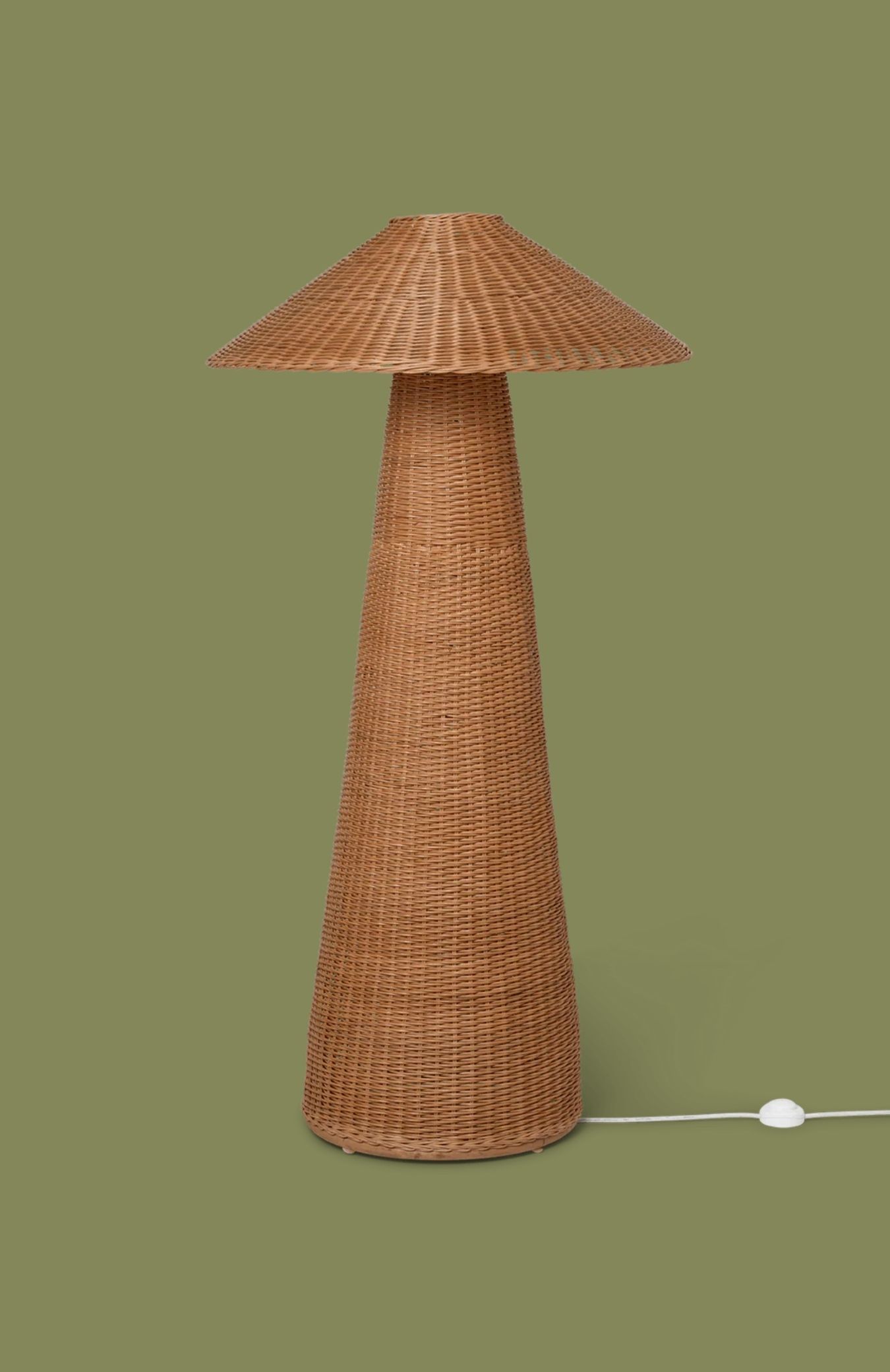 Dou Floor Lamp against dark green background.