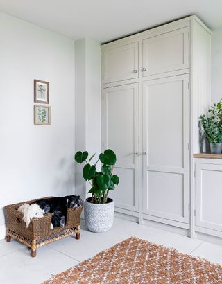 utility with white cabinets and plants with two dogs asleep in basket on floor
