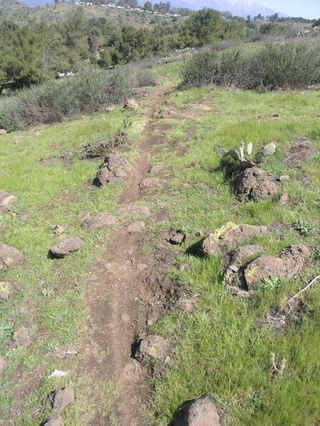 Fresh singletrack at Bonelli Park