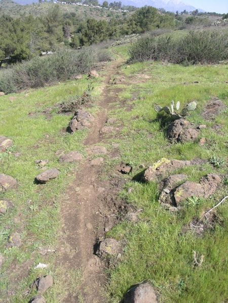 Fresh singletrack at Bonelli Park