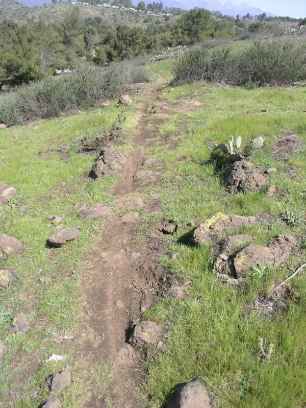 Fresh singletrack at Bonelli Park