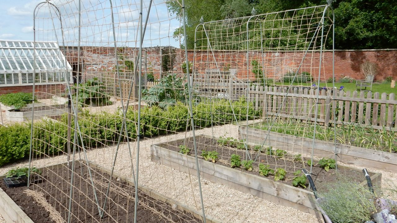 Elegrance Bean Frame with jute netting