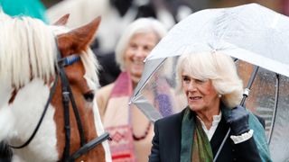 Queen Camilla meets one of the riding school horses