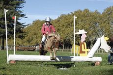 Pony on the mini cross-country course at Pau in France on 27 October 2013