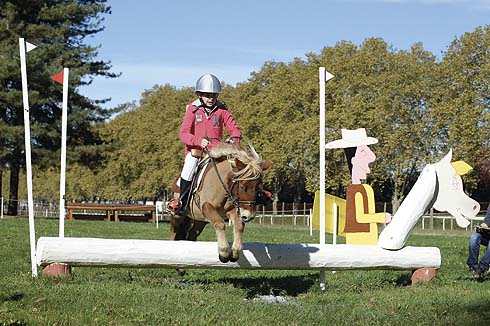 Pony on the mini cross-country course at Pau in France on 27 October 2013
