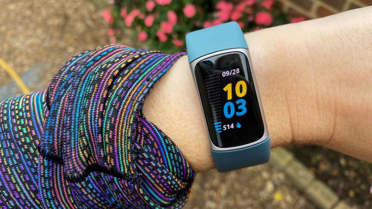 Fitbit Charge 5 Fitness Tracker - Platinum/Mineral Blue