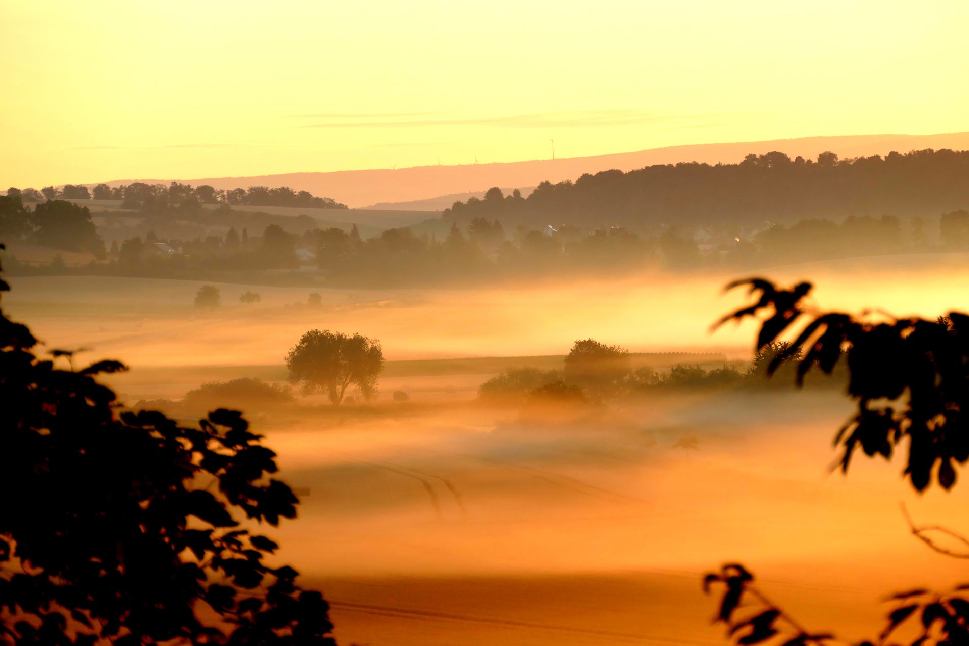 GuruShots - Nature&rsquo;s Masterpiece 2026