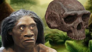 On the left, a small human-looking creature with dark skin, long hair, and a wide nose and mouth. On the right, a skull.