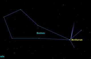 Comet Catalina and Arcturus, January 2016