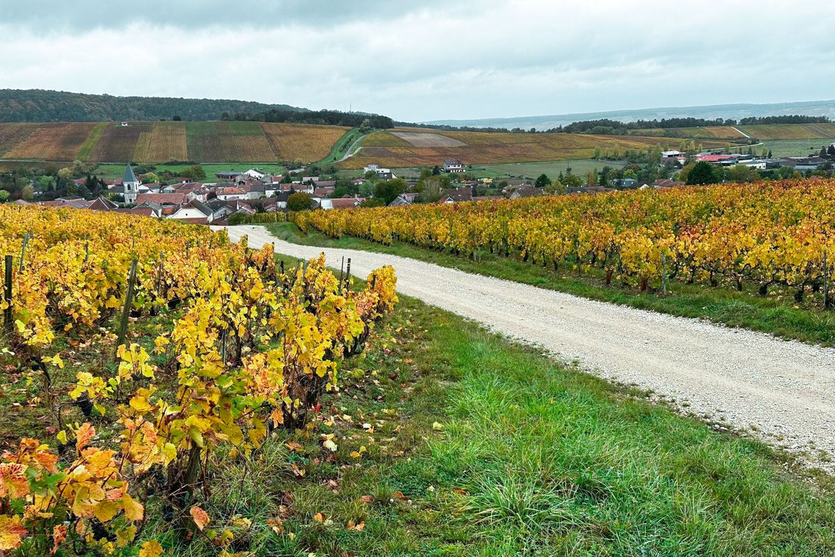 A sector of gravel set to feature on stage 9 of the 2024 Tour de France in Troyes 