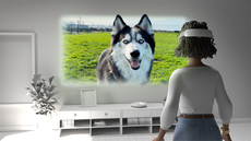 A Meta Quest 3 owner watching a spatial video of their husky dog in a field