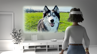 A Meta Quest 3 owner watching a spatial video of their husky dog in a field