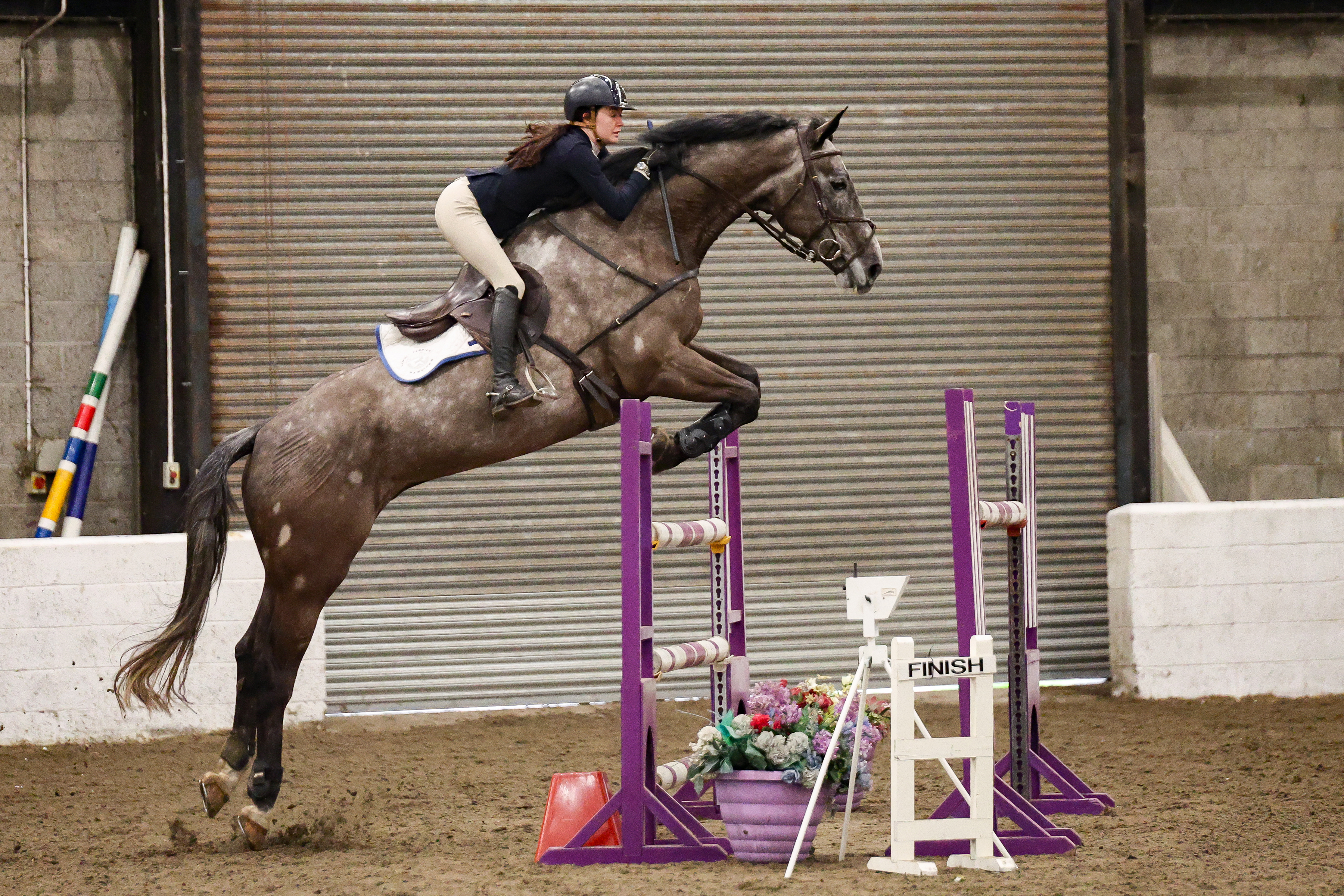 Rachel Williamson and 18.3hh Kill Bill JX qualify for a prestigious showjumping final at Morris EC.