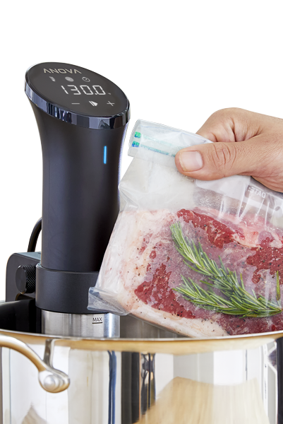 Anova Anova Precision® Cooker