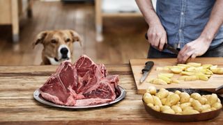 Homemade dog food for sensitive stomachs 6 mouth watering meals PetsRadar