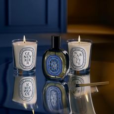 diptyque orpheon limited edition collection