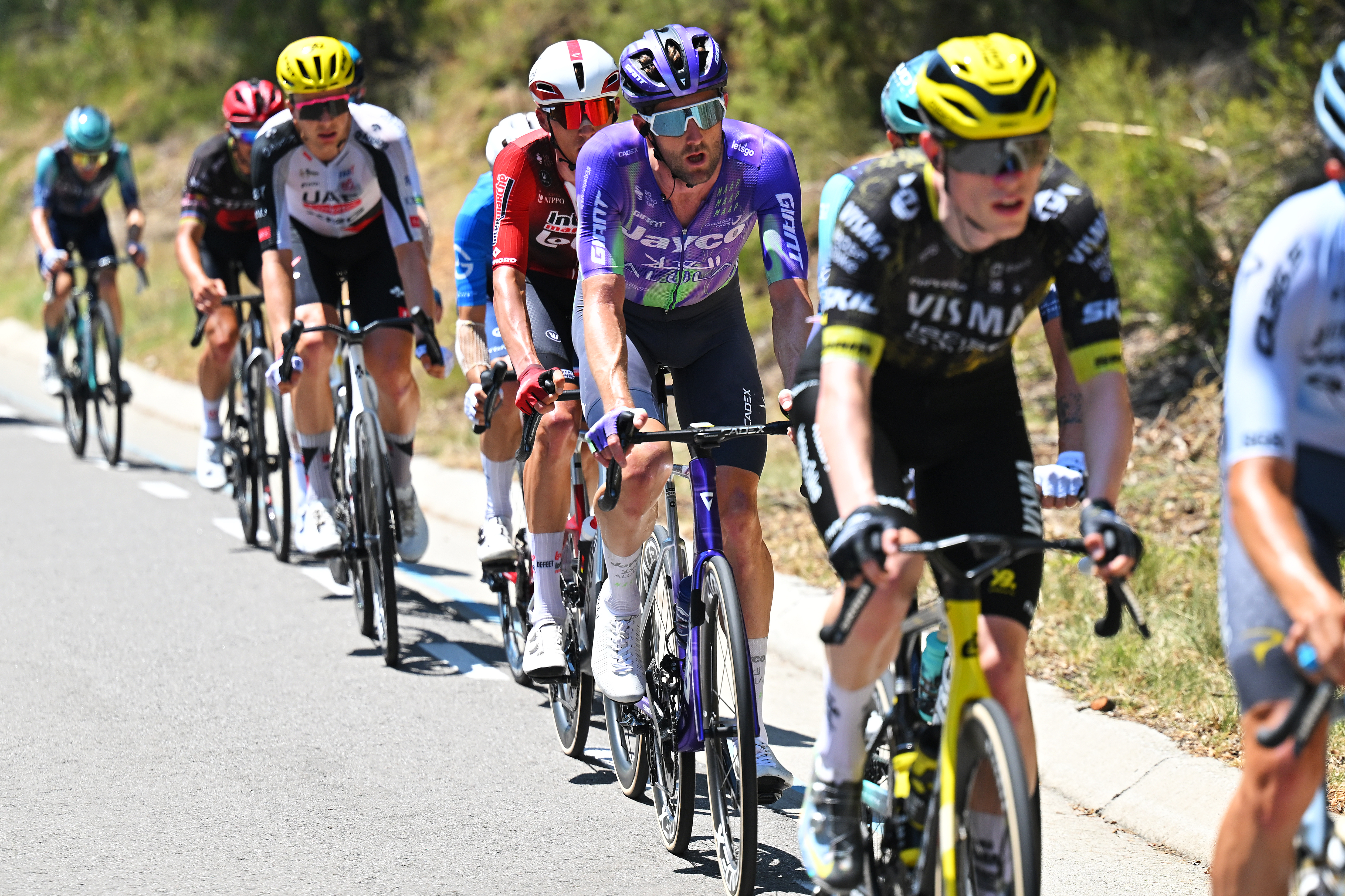 the peloton at the Tour de France