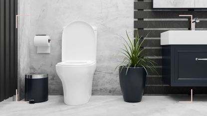 monochrome bathroom with black sink unit and white toilet 