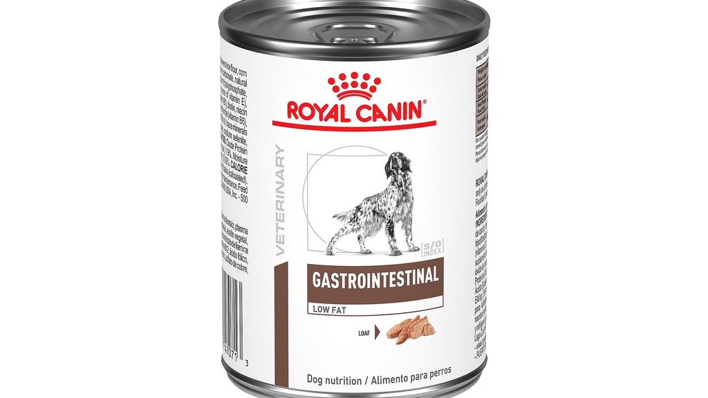 Best wet dog food Tasty and healthy options for your canine PetsRadar