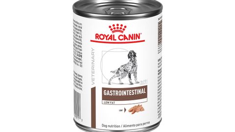 Best wet dog food: Tasty and healthy options for your canine | PetsRadar