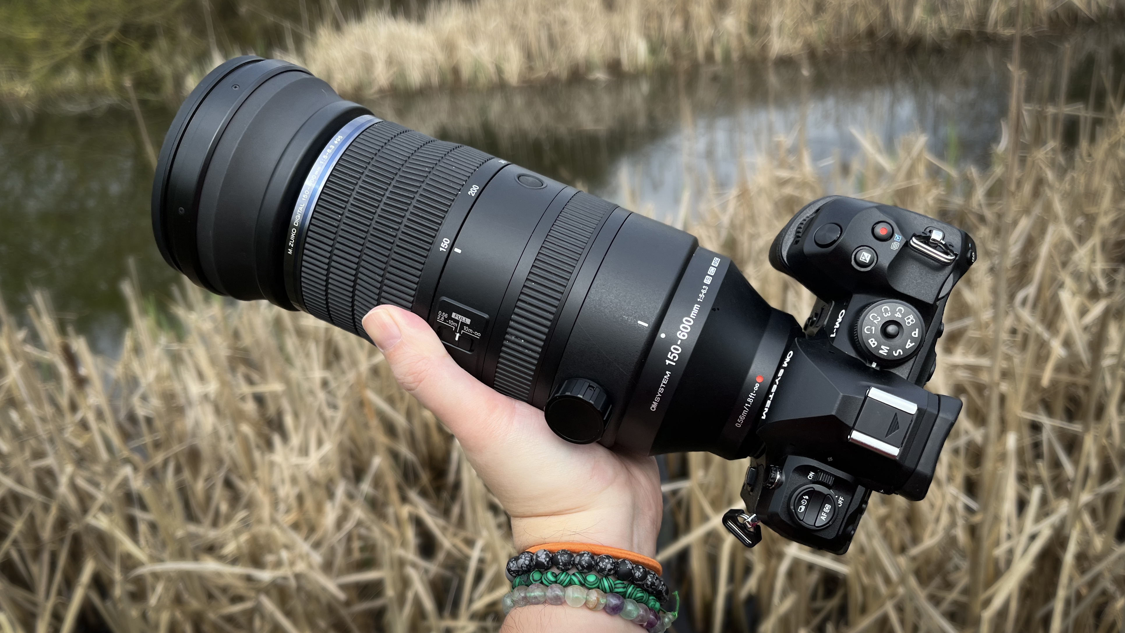 OM System M.Zuiko 150-600mm f/5.0-6.3 IS review: an effective 300-1200mm sniper