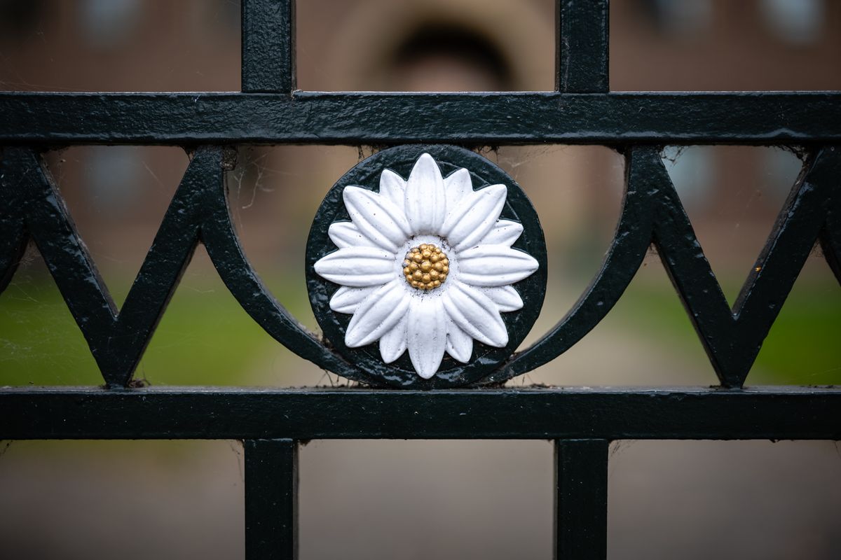 photo of a fence detail taken with the Nikon Z f