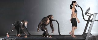 Why Chimps Are Stronger Than Humans | Live Science